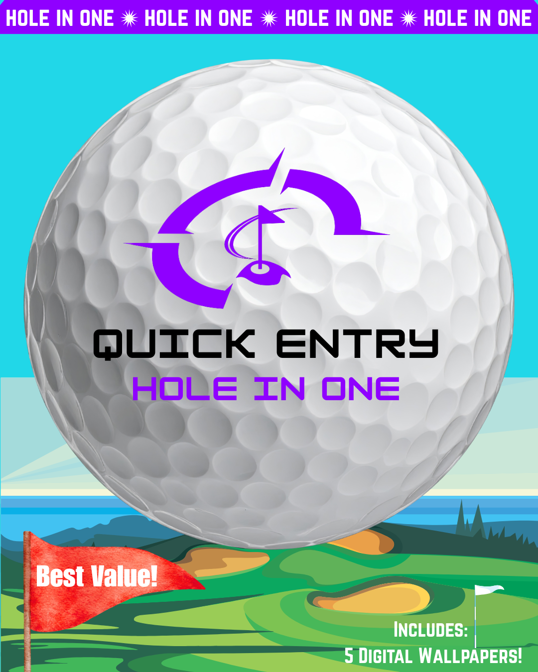 Quick Entry Hole In One